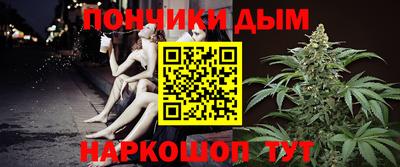 индика Ирбит