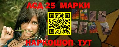 индика Ирбит