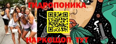 индика Ирбит